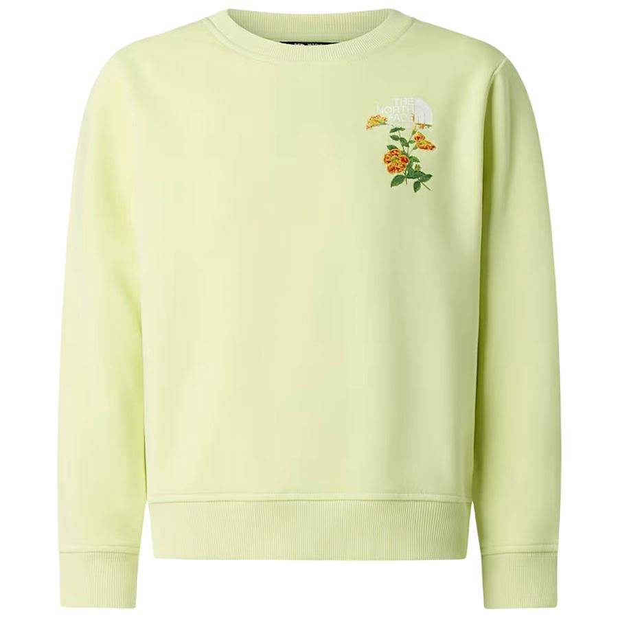  The North Face | NF0A8G1PG6O